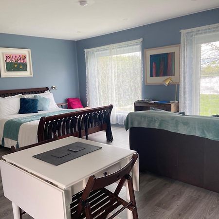 The Cosy Studio By The Shore 戈尔韦 外观 照片